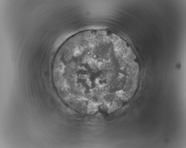 X0000112890337200909181917