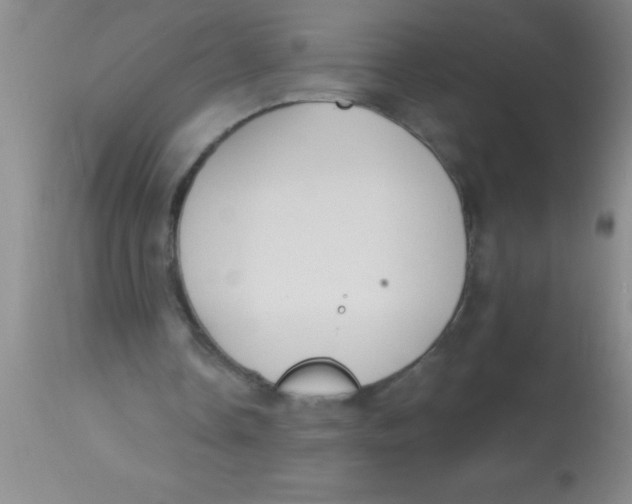 X0000112890338200909181917