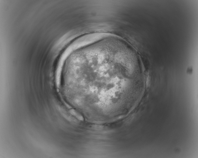 X0000112890339200909181917