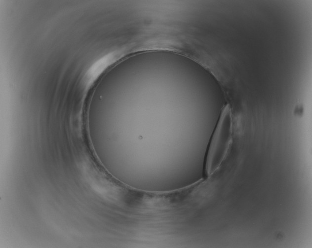 X0000112890340200909181917