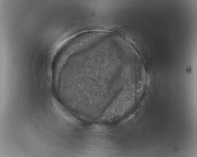 X0000112890343200909181917