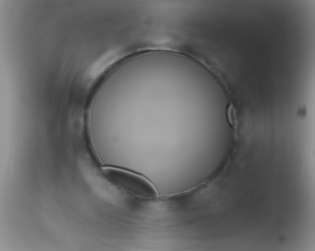 X0000112890344200909181917