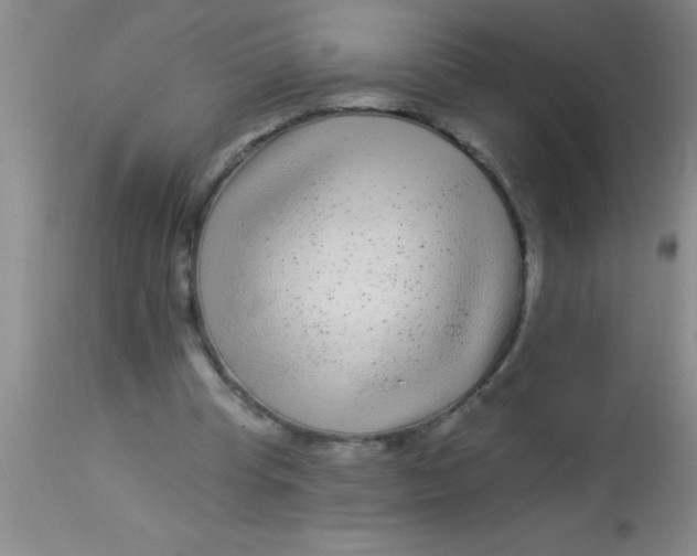 X0000112890345200909181917