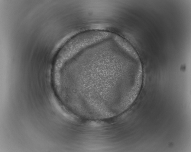 X0000112890346200909181917