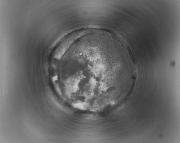 X0000112890347200909181917