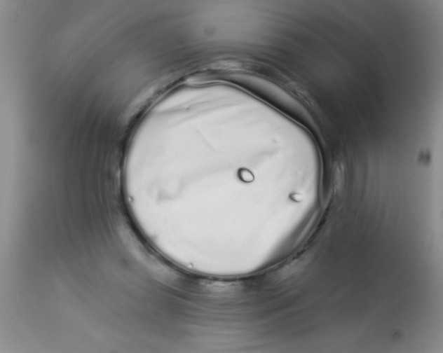 X0000112890349200909181917