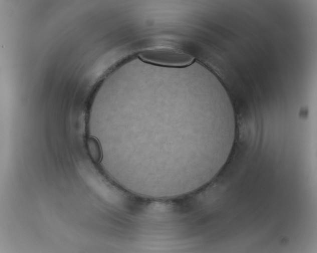 X0000112890350200909181917