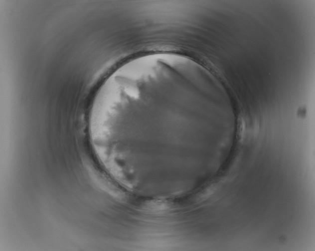 X0000112890351200909181917