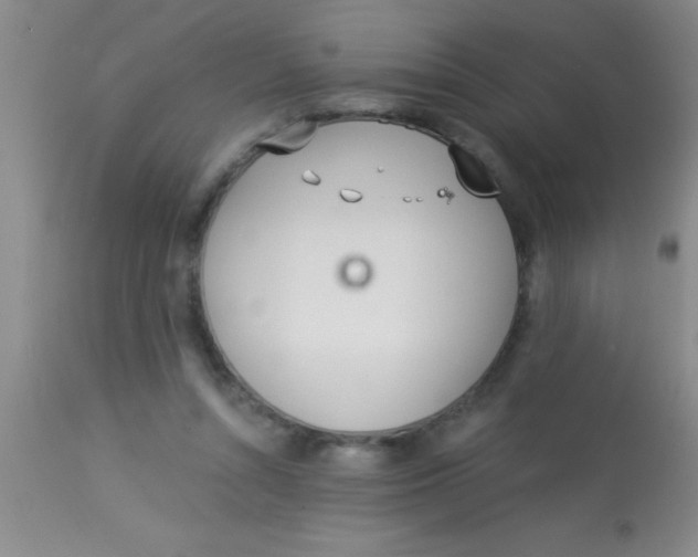 X0000112890352200909181917