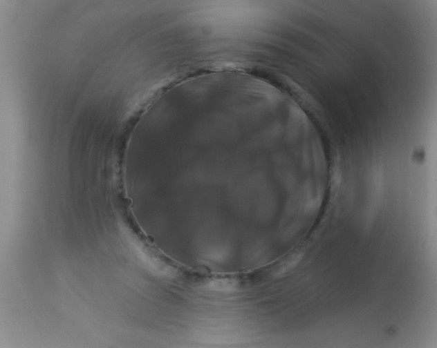 X0000112890353200909181917