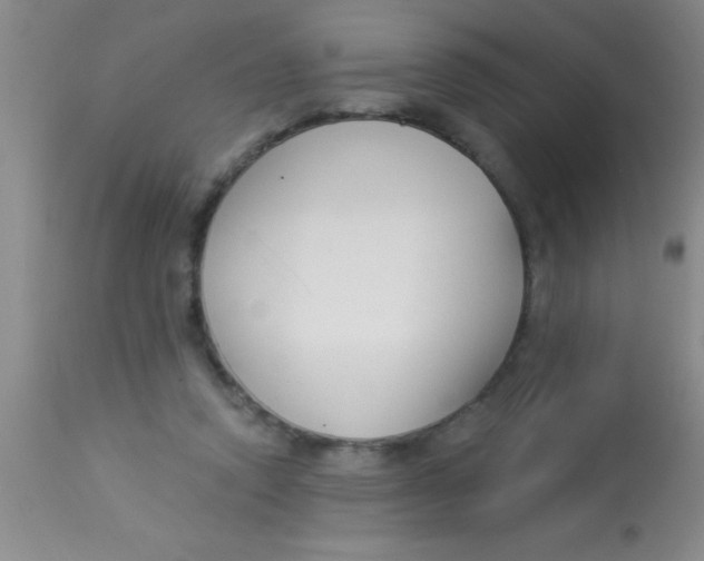 X0000112890354200909181917