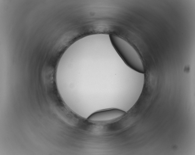 X0000112890356200909181917