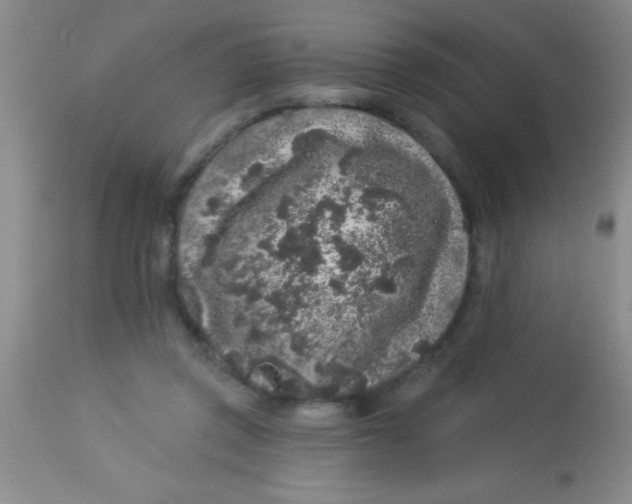 X0000112890357200909181917