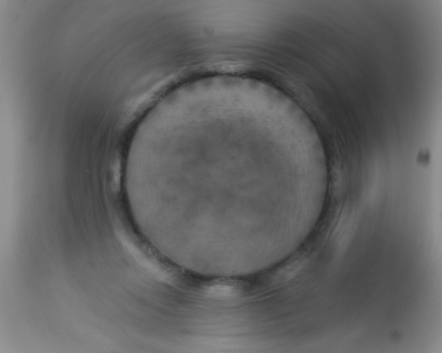 X0000112890358200909181917
