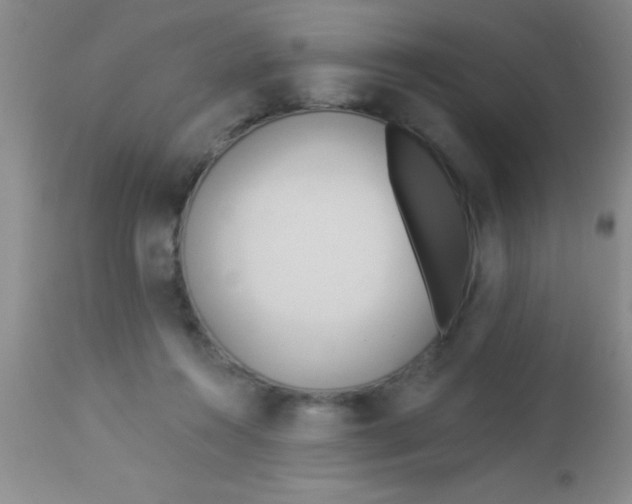 X0000112890360200909181917