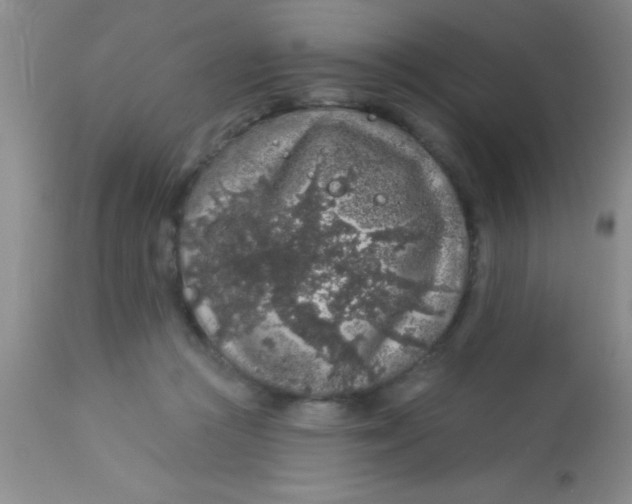 X0000112890361200909181917
