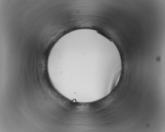 X0000112890362200909181917
