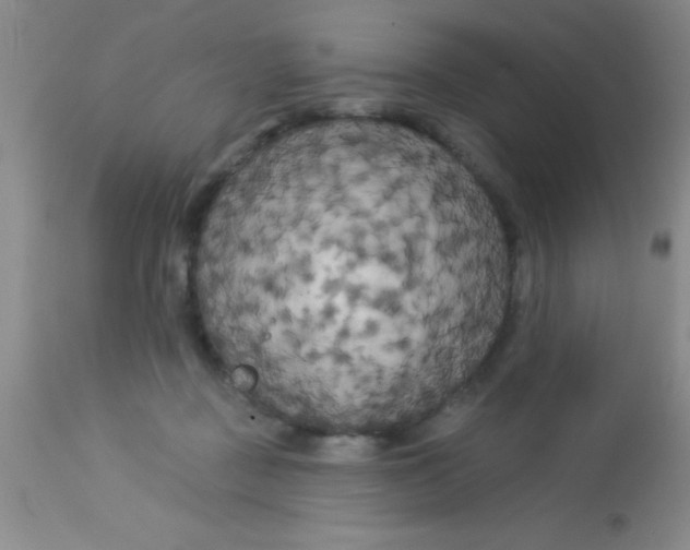 X0000112890363200909181917
