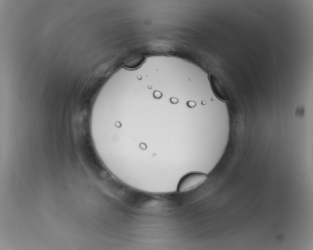 X0000112890364200909181917