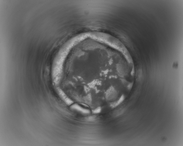 X0000112890365200909181917