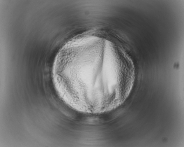X0000112890366200909181917