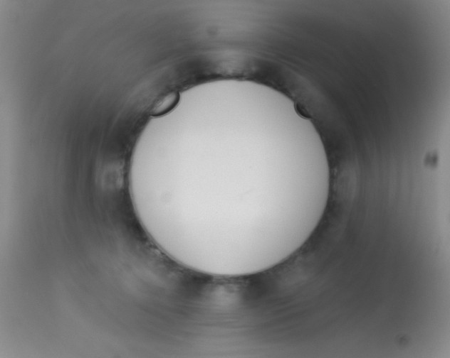 X0000112890368200909181917