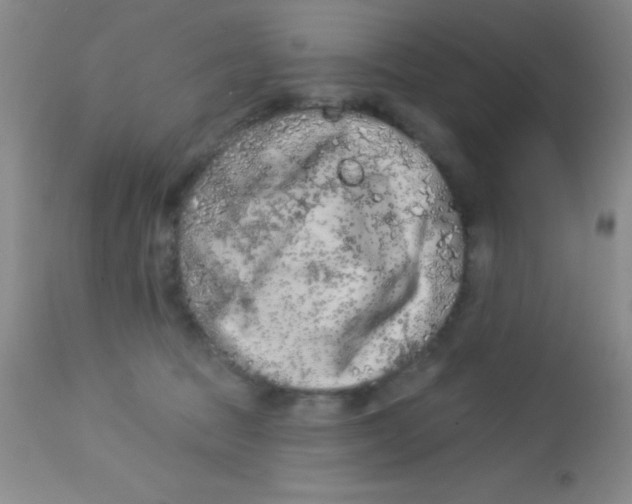 X0000112890369200909181917