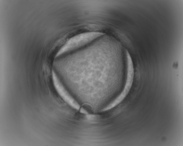 X0000112890371200909181917
