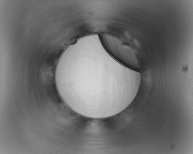 X0000112890372200909181917