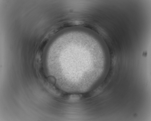 X0000112890373200909181917