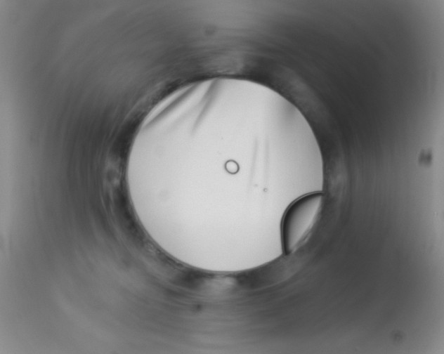 X0000112890374200909181917
