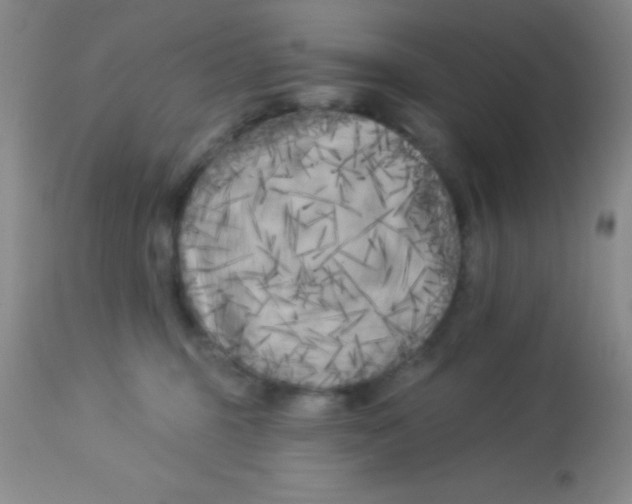 X0000112890375200909181917