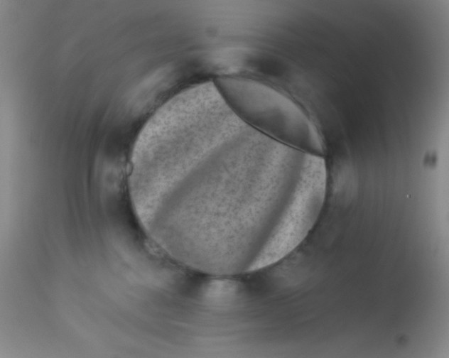 X0000112890376200909181917