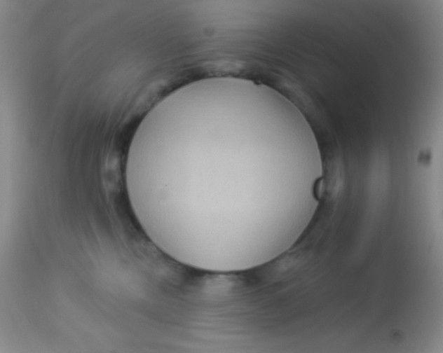 X0000112890378200909181917