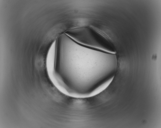 X0000112890380200909181917
