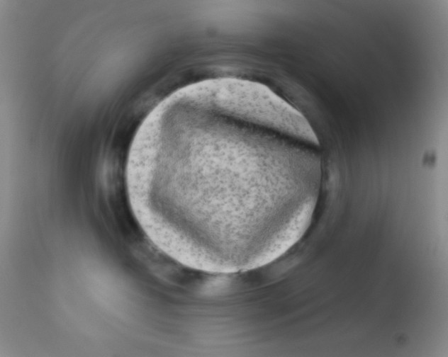 X0000112890382200909181917