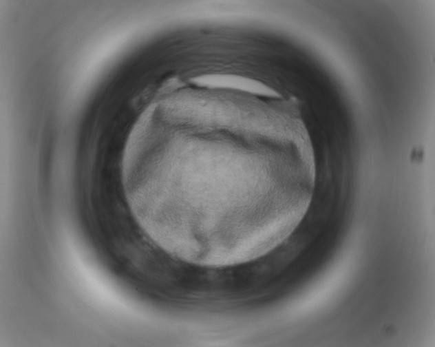 X0000112890383200909181917