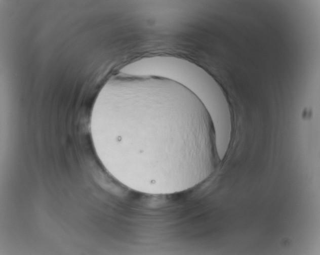 X0000112890384200909181917