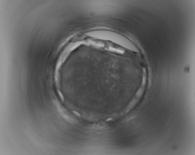 X0000112890386200909181917