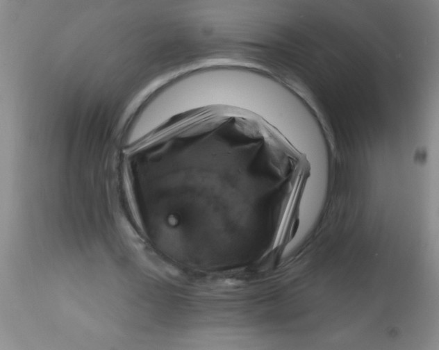 X0000112890387200909181917