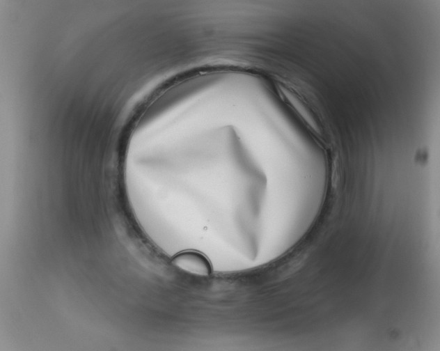 X0000112890388200909181917