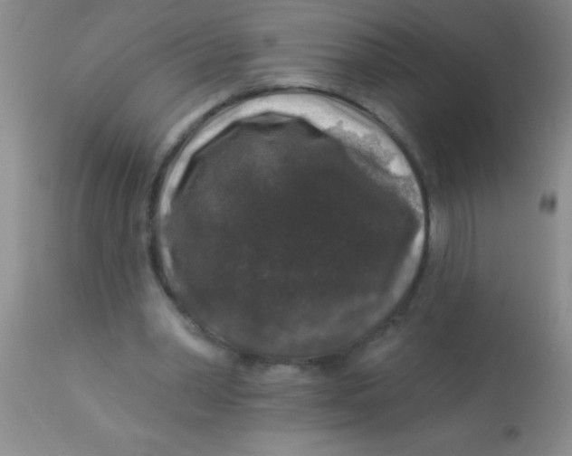 X0000112890390200909181917