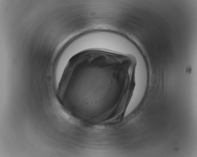 X0000112890391200909181917