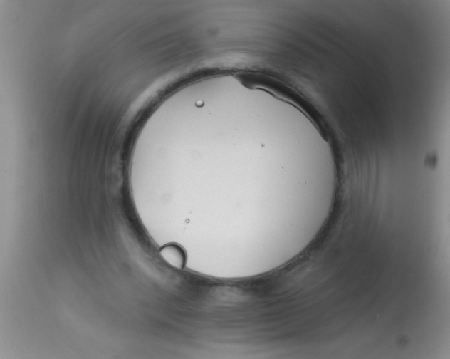 X0000112890392200909181916