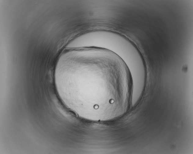 X0000112890393200909181916