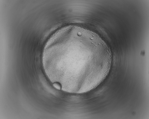 X0000112890394200909181916