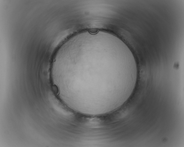 X0000112890395200909181916