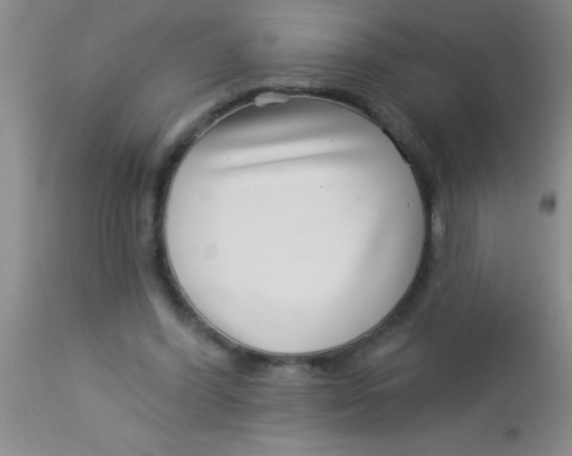 X0000112890396200909181916