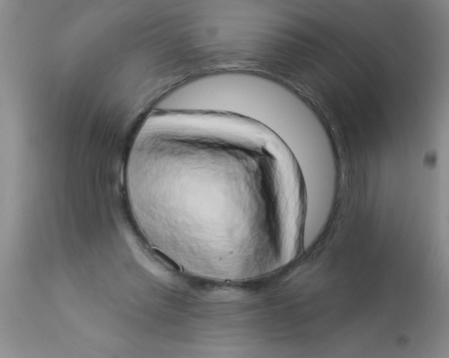X0000112890397200909181916