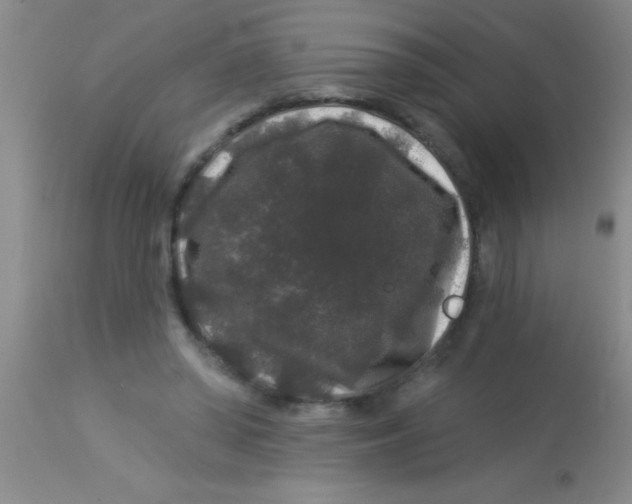X0000112890398200909181916